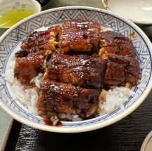 【名古屋鰻】江戸末期創業の名古屋市でうなぎの老舗店「鰻 木屋」